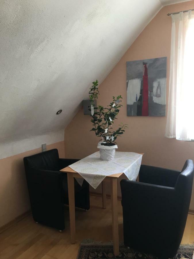Sonnenappartment In Homburger Solarhaus Χόμπουργκ Εξωτερικό φωτογραφία